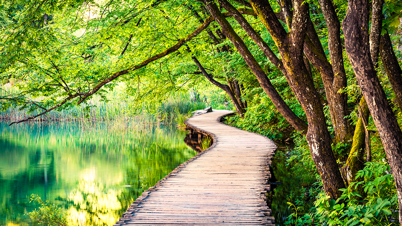 Relaxing Piano Music - "It's All Ok"