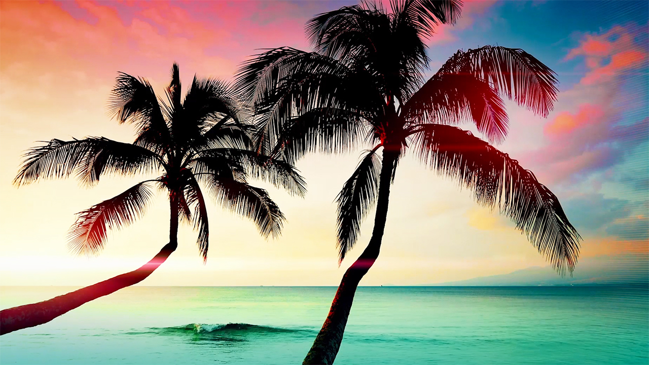 Relaxing Music and Ocean Waves - Tropical Palm Trees