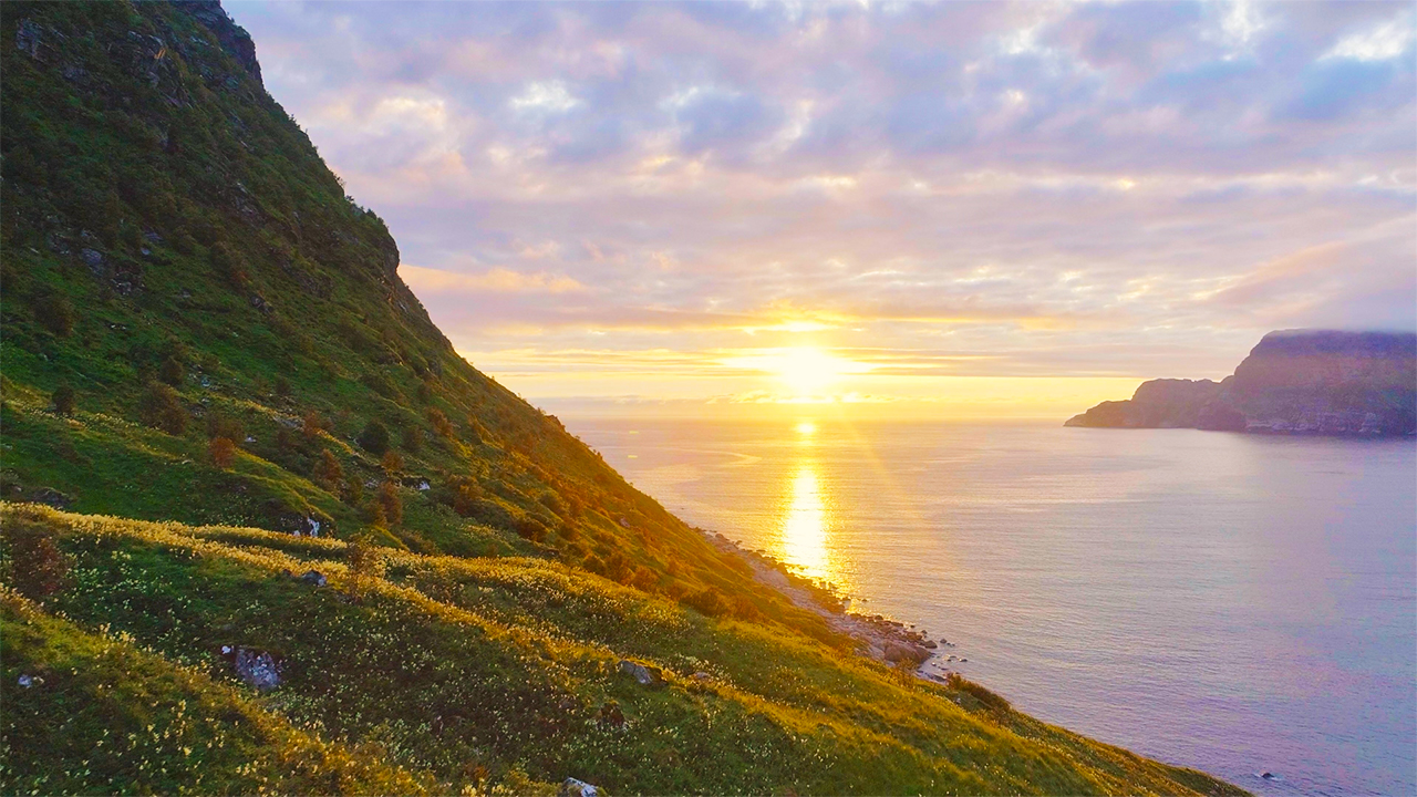 Relaxing Sleep Music