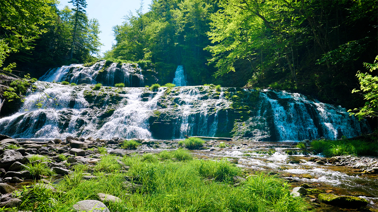 Relaxing Waterfall Sounds in the Forest (No Music)