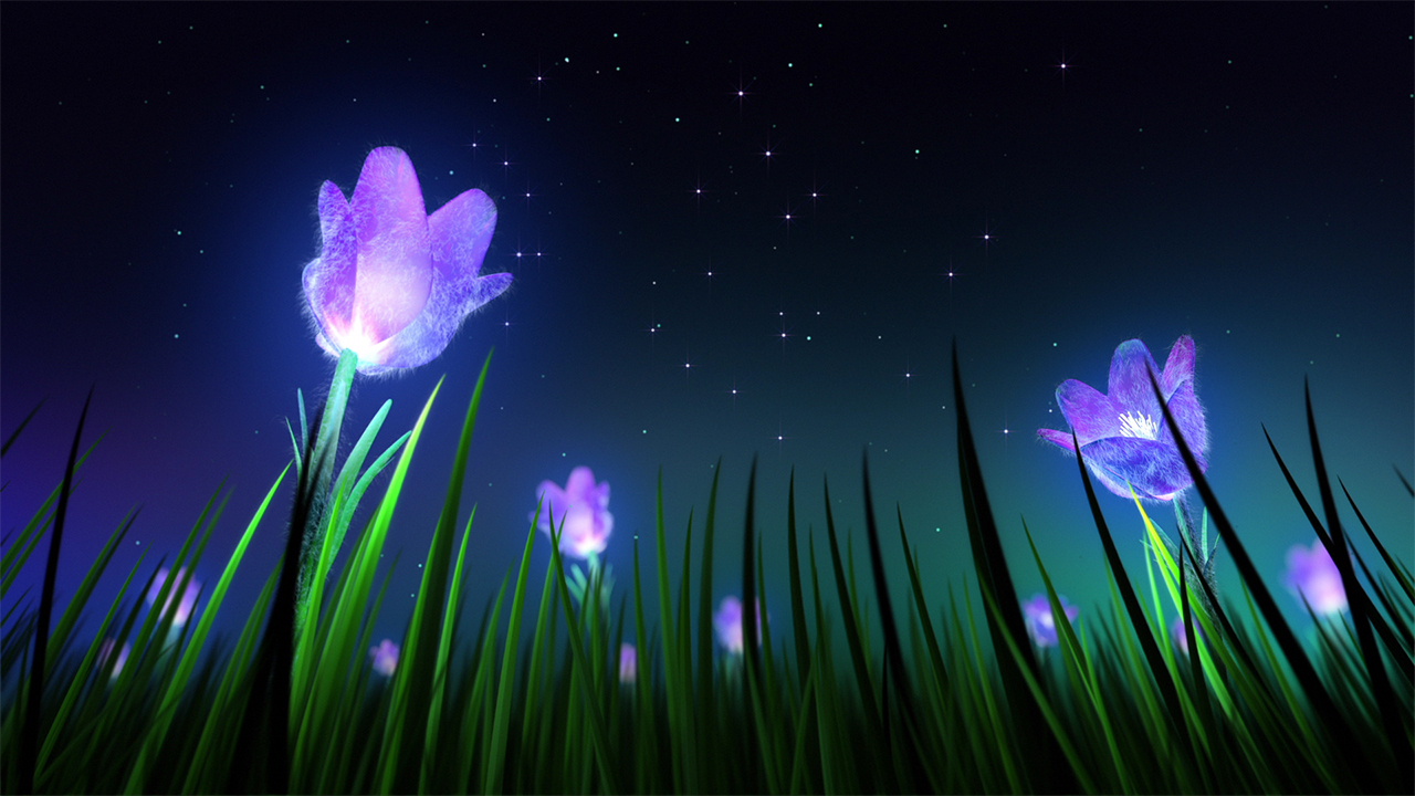 Relaxing Music and Night Nature Sounds with Crickets