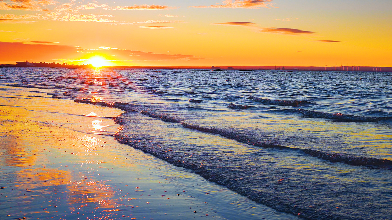 Beautiful Relaxing Piano Music with Ocean Waves