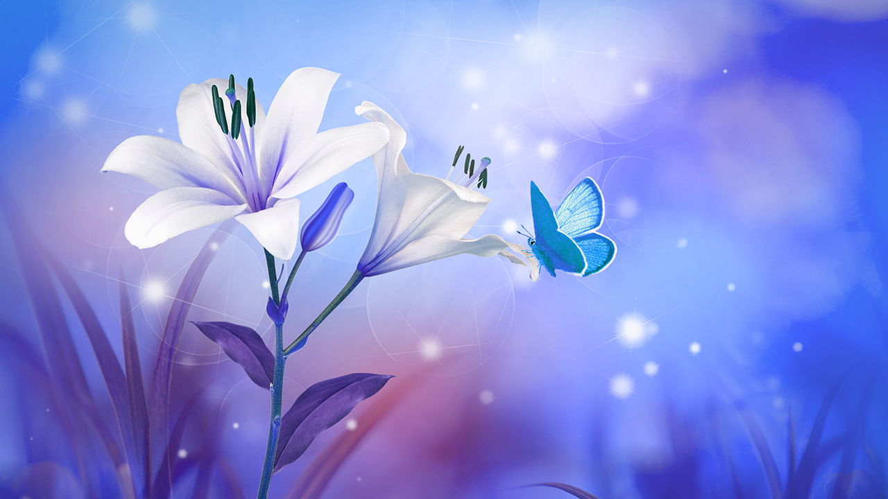 Relaxing Sleep Music