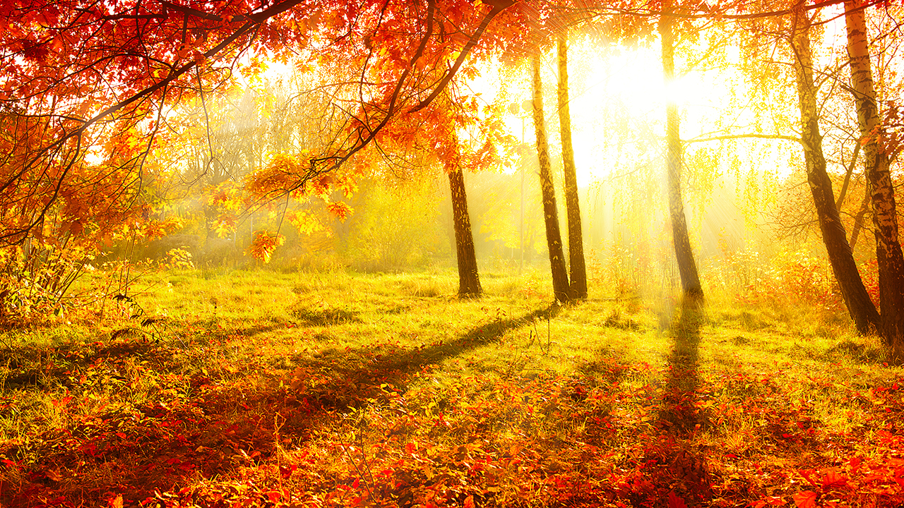 Beautiful Relaxing Music with Peaceful Autumn Scenery