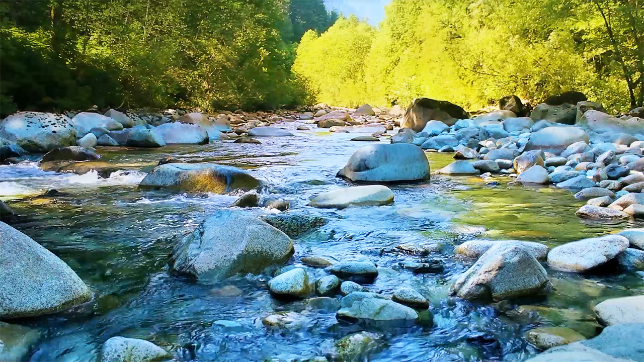 Relaxing Flowing River Sounds (No Music)