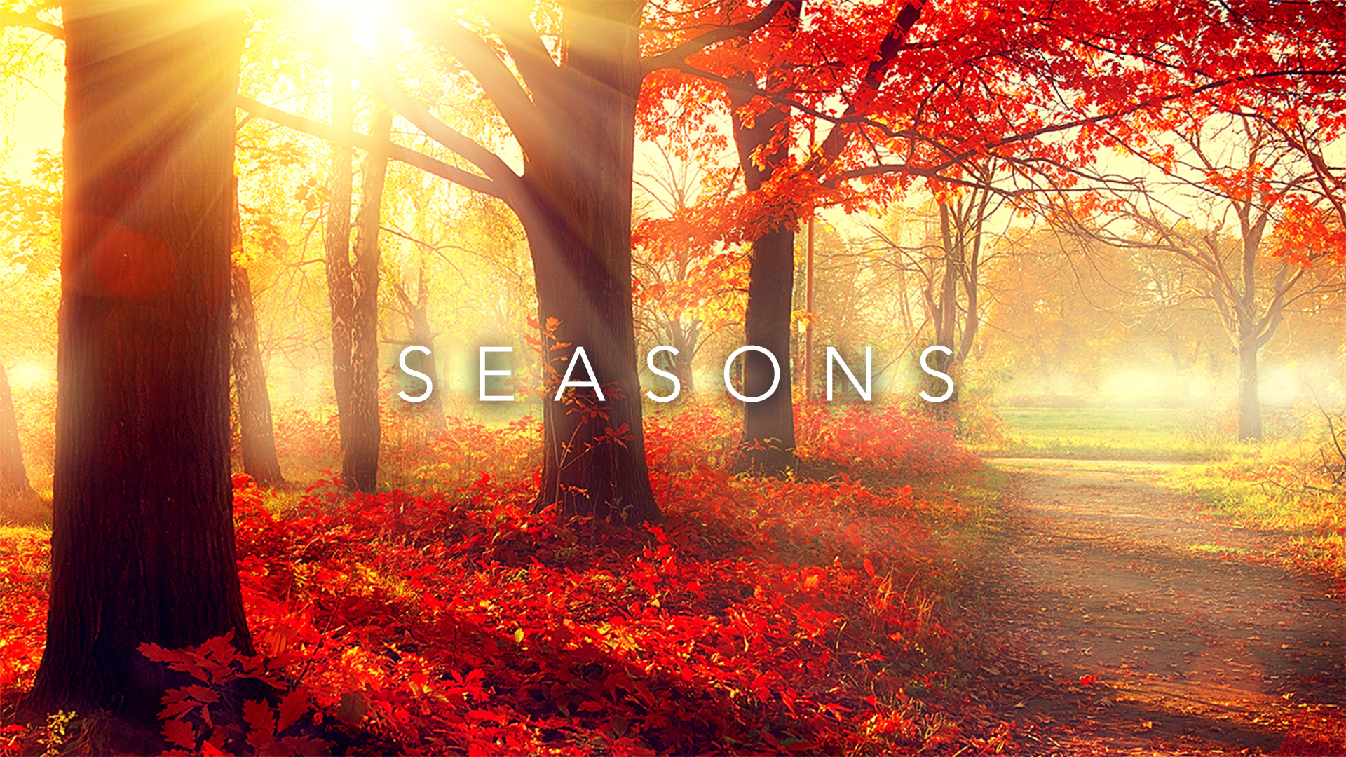 Seasons Collection