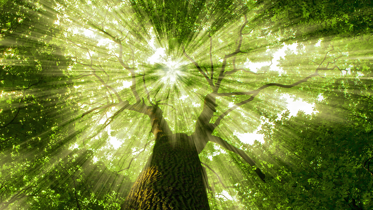 Relaxing Piano Music - "Thank You"