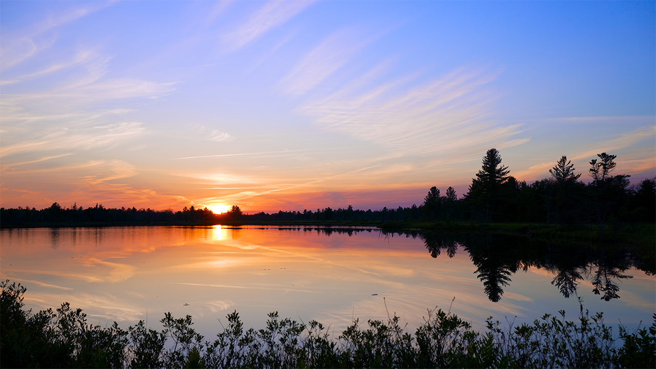 Soft Lake Wave Sounds with Loon Calls in Twilight (No Music)