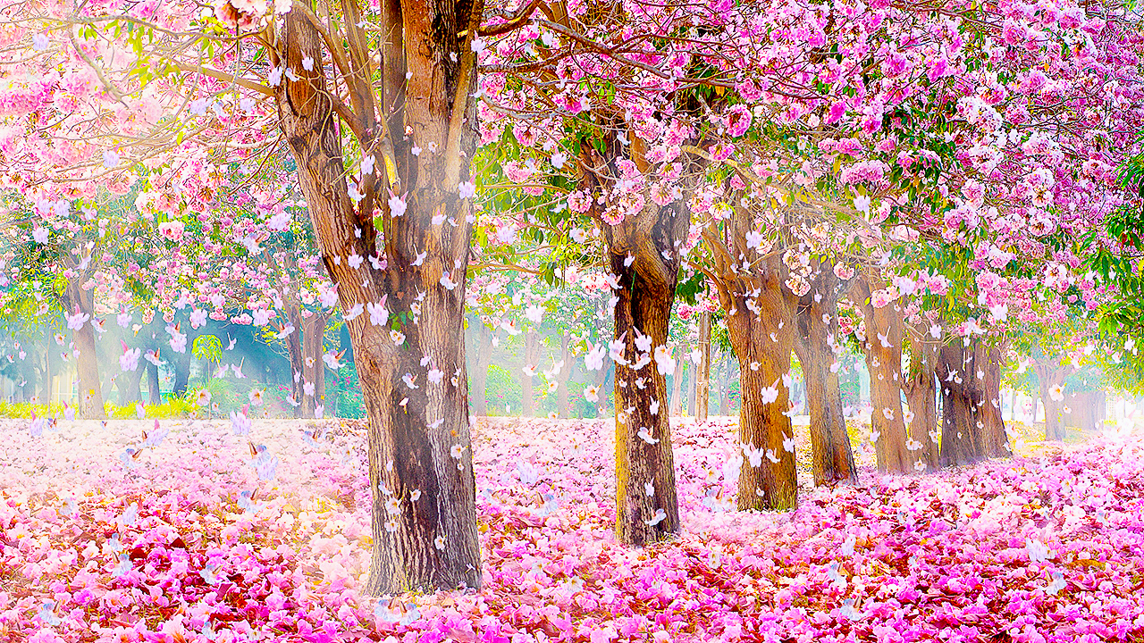 Relaxing Piano Music - "Give Me Strength"