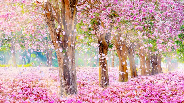 Relaxing Piano Music - "Give Me Stren...