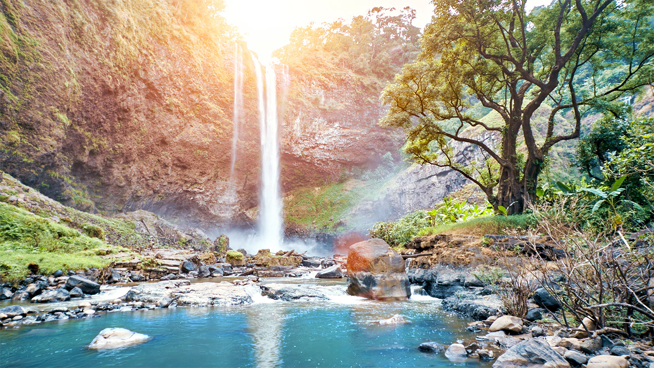 Relaxing Music with Calm Waterfall Water Sounds