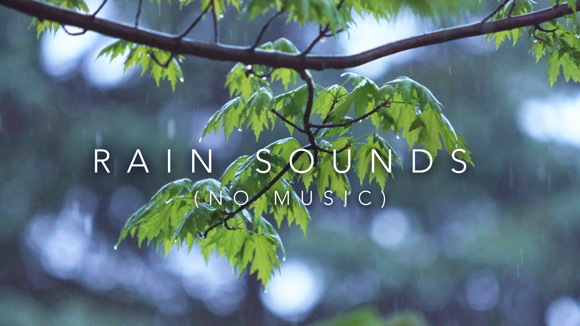 Rain Sounds (No Music)