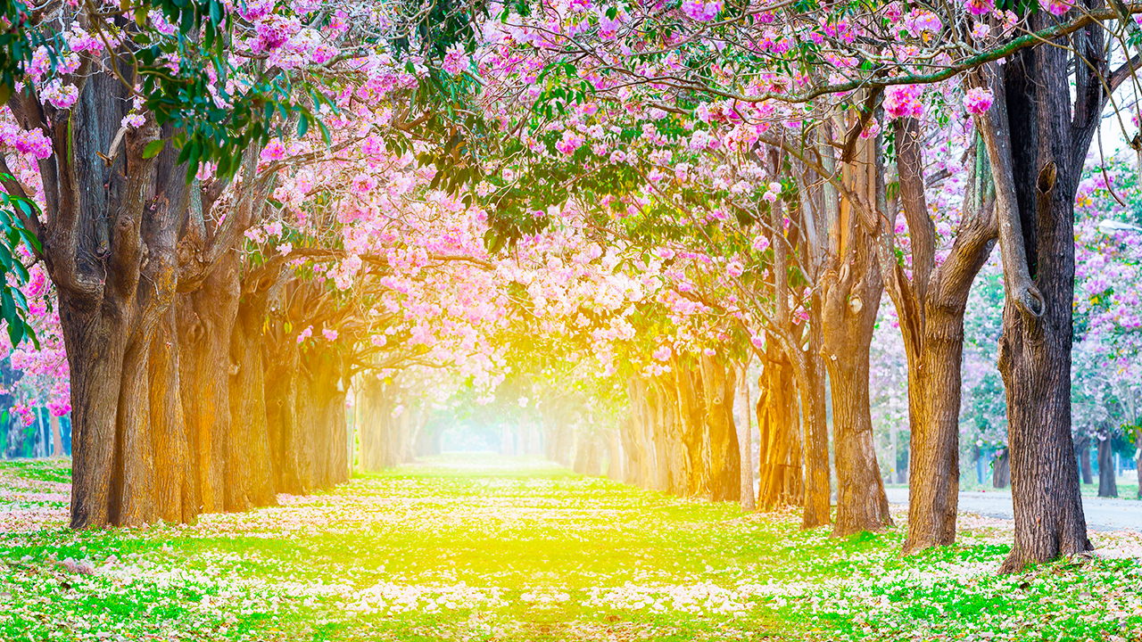 Relaxing Piano Music - "Home"