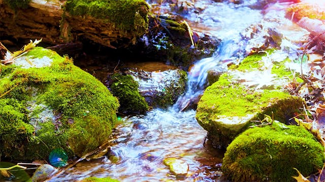 Peaceful Trickling Stream Water Sound...