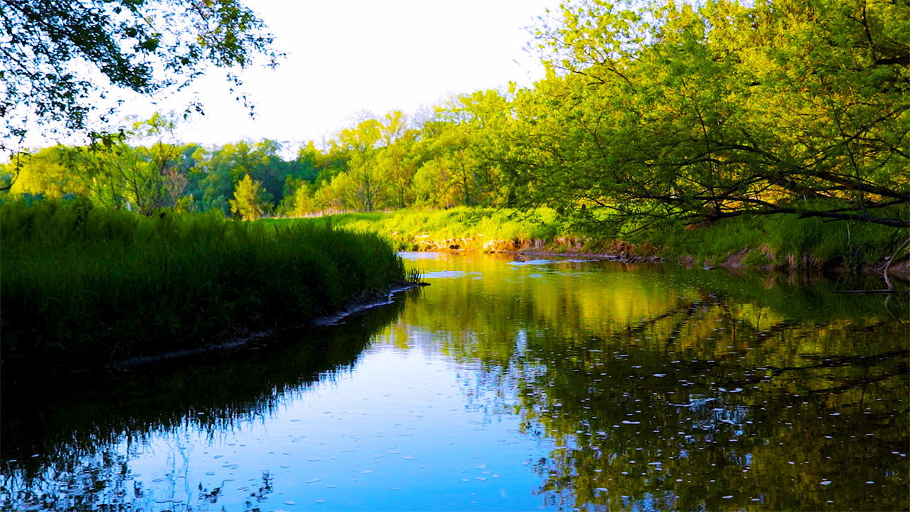 Gentle River Sounds and Nature Sounds (No Music)