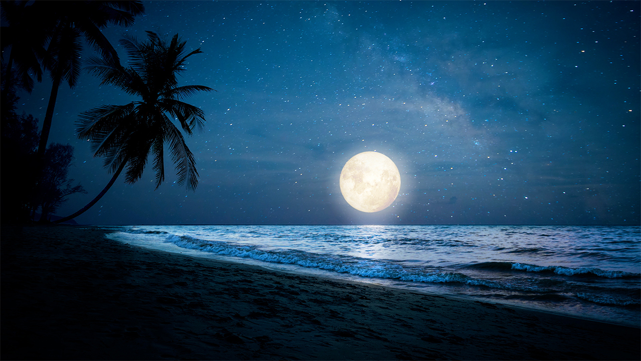 Ocean Wave Sounds at Night - Moonlit Waves on a Tropical Ocean Beach (No Music)