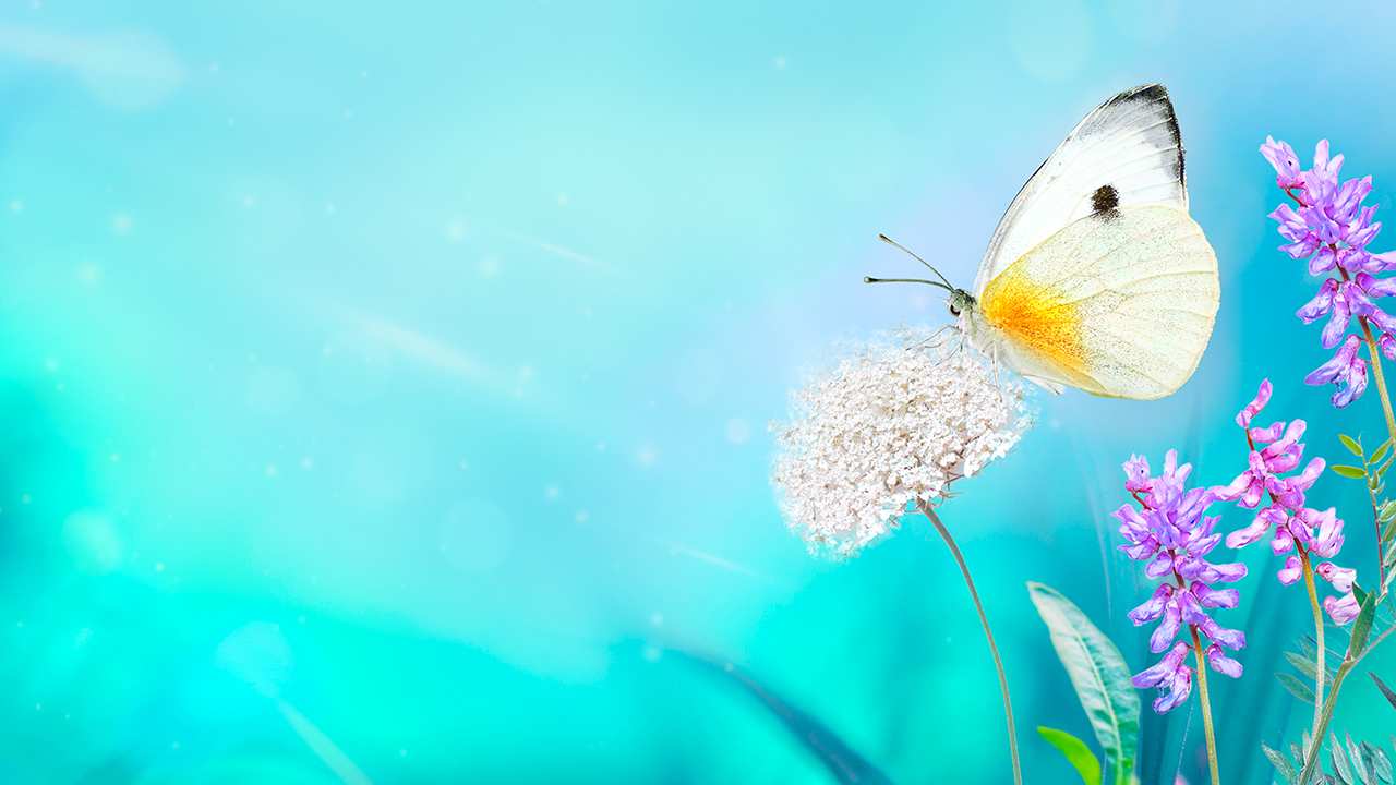 Relaxing Music for Sleeping