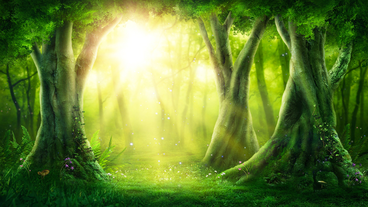 Magic Forest Peaceful Nature Sounds with Birds Chirping (No Music)