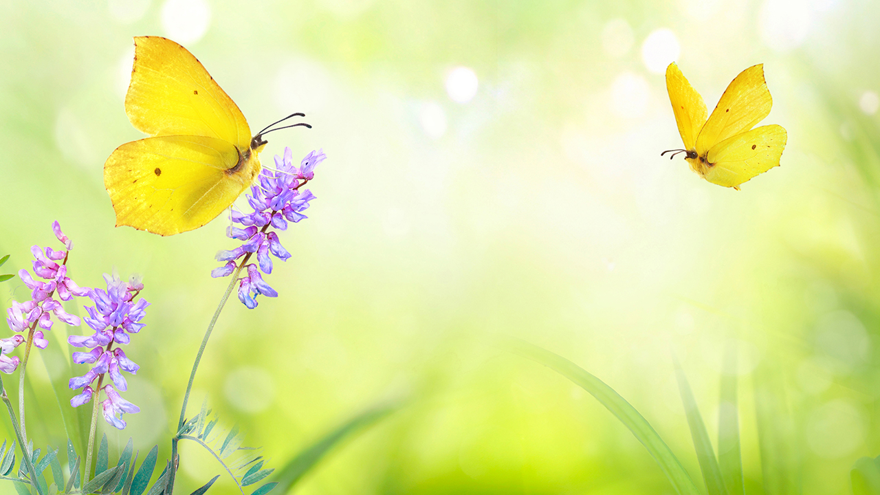 Relaxing Sleep Music, Gentle Piano