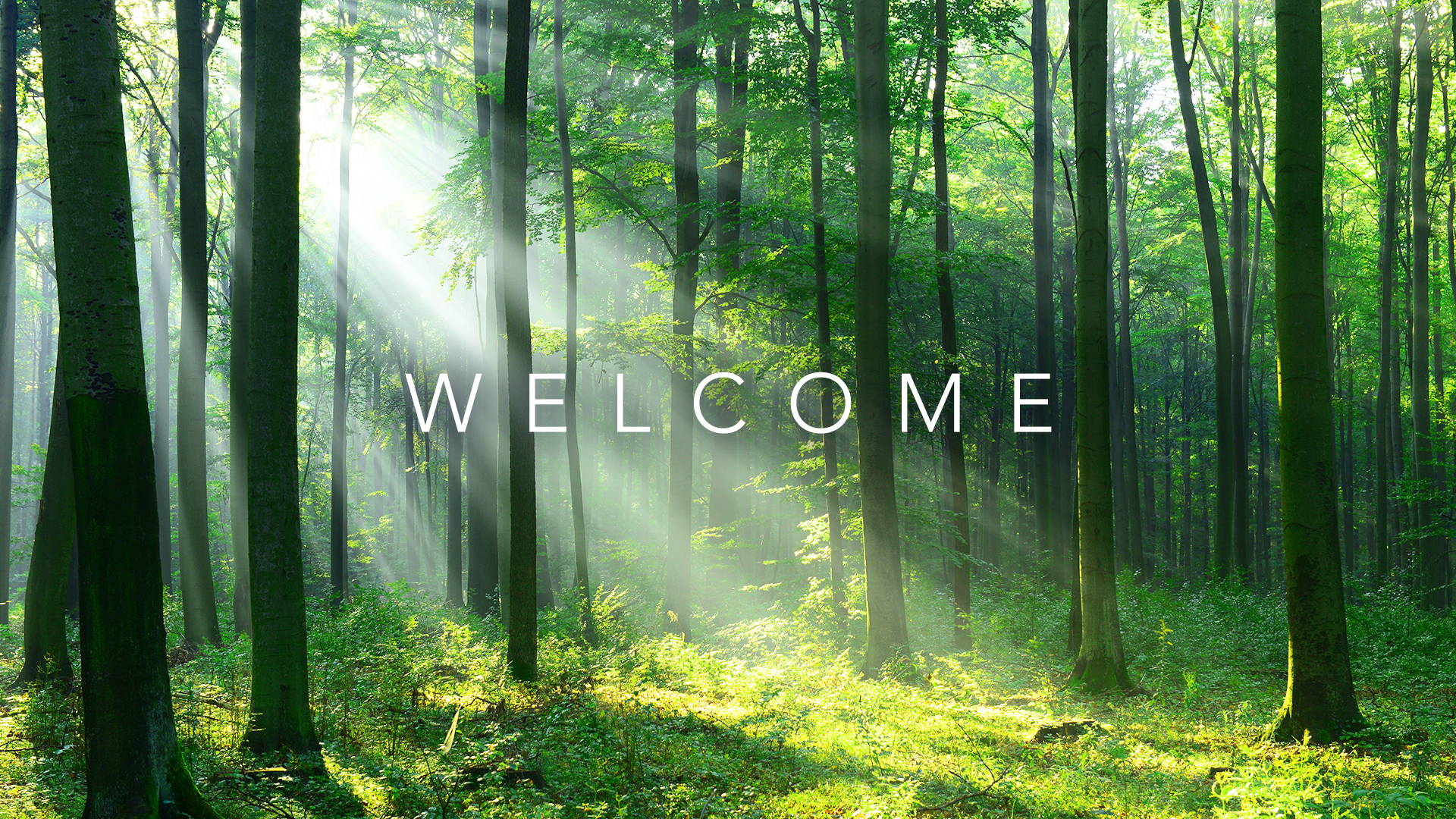 Welcome to Dream Sounds