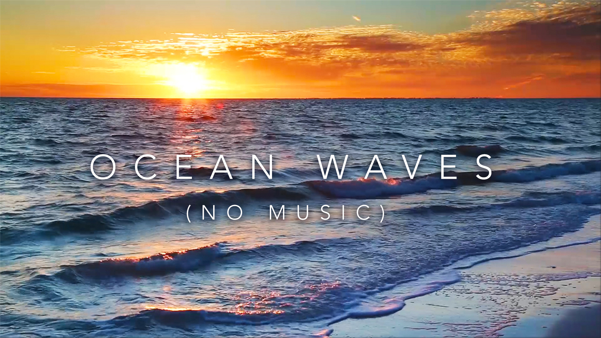 Ocean Wave Sounds (No Music)