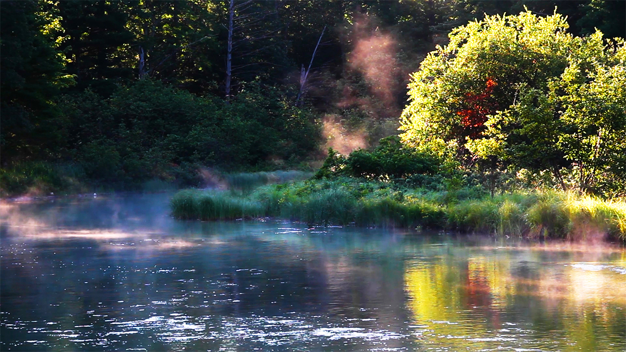Misty River Flowing Water Sounds with Nature (No Music)