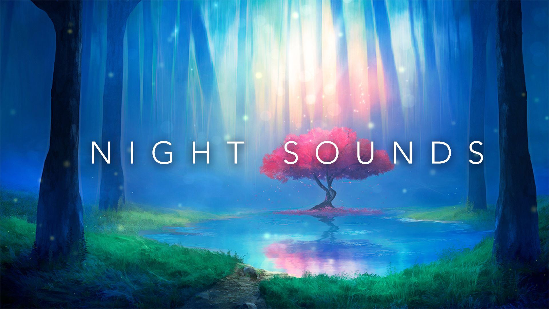 Night Nature Sounds with Crickets Chirping