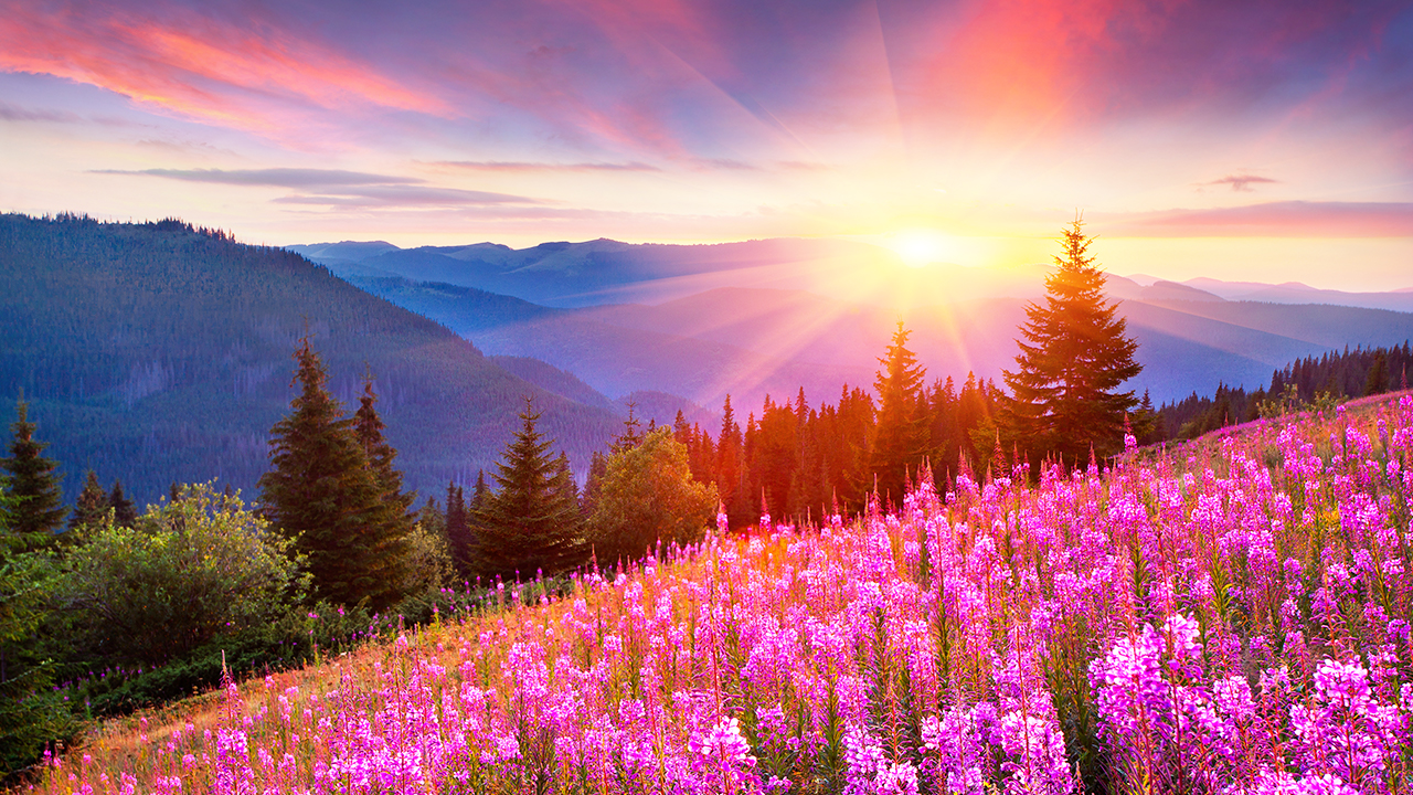 Beautiful Relaxing Piano Music - "Together Again"