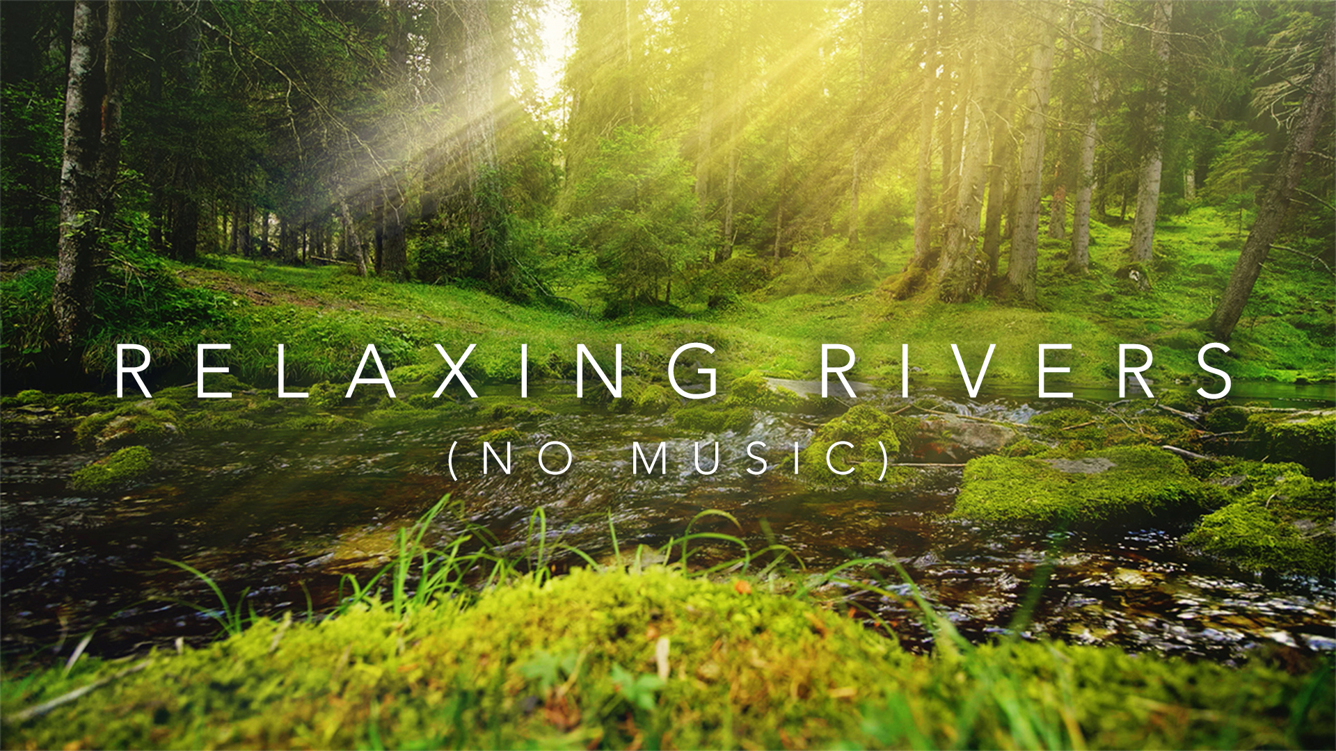 River and Stream Sounds (No Music)