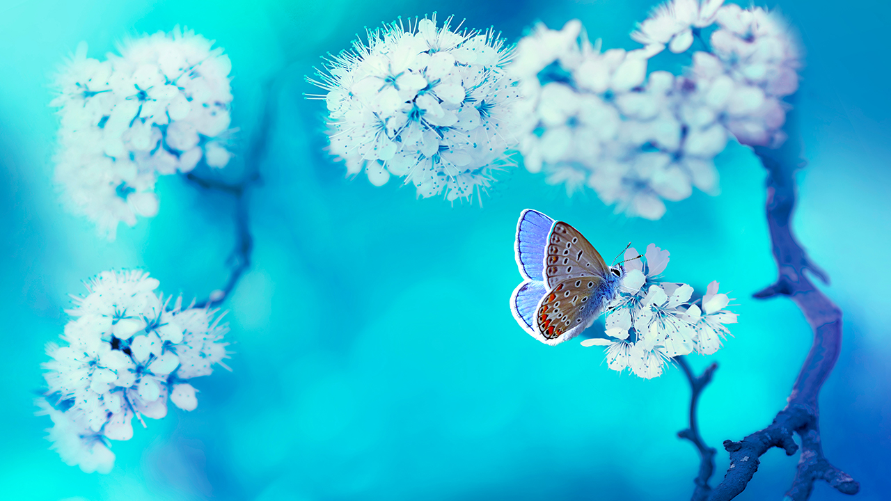 Relaxing Sleep Music