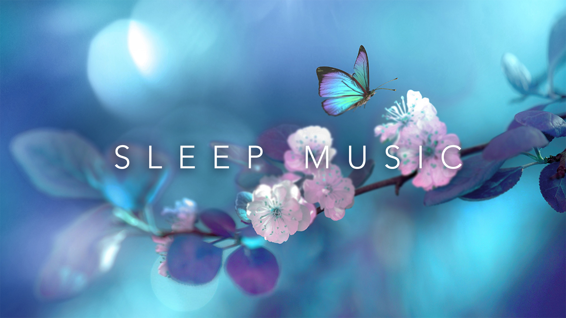 Relaxing Sleep Music