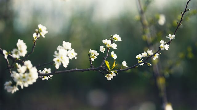 Gentle Piano Music - "Hold My Hand"