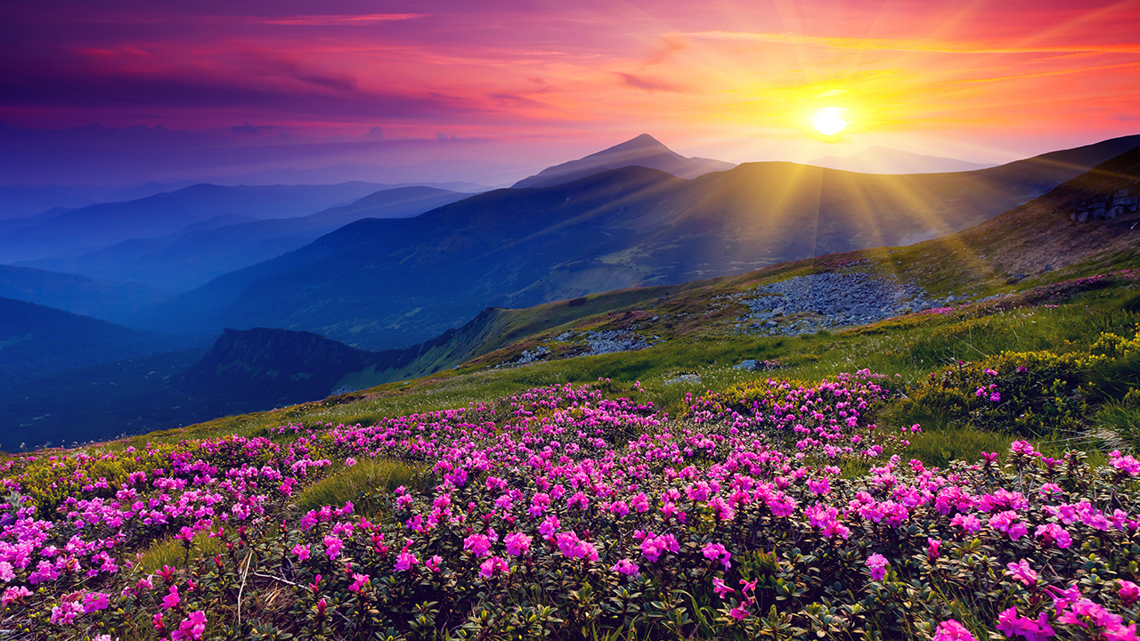 Peaceful Piano Music