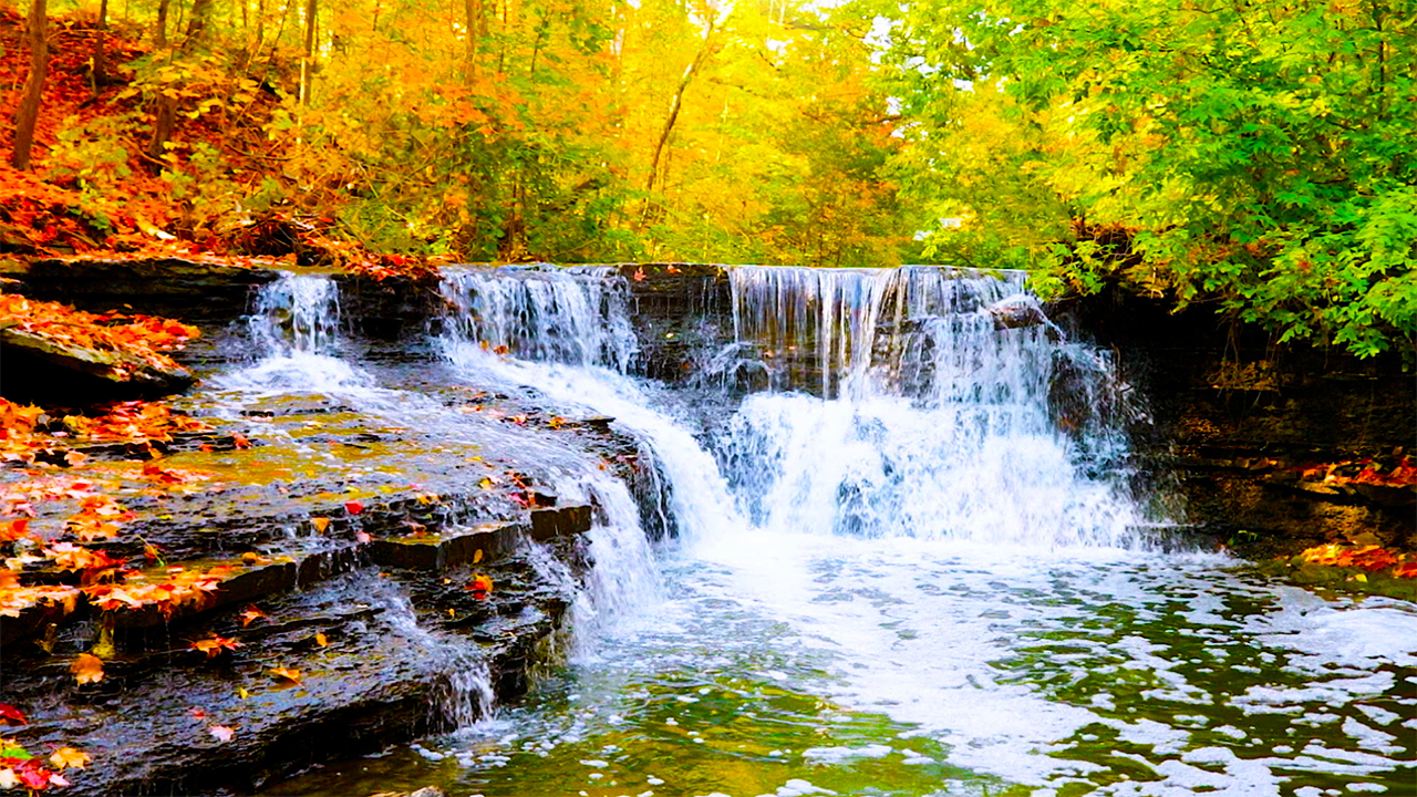 Colorful Autumn Waterfall Sounds (No Music)