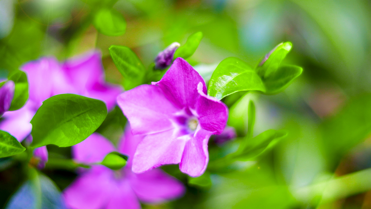 Beautiful Relaxing Piano Music with Guitar and Voice