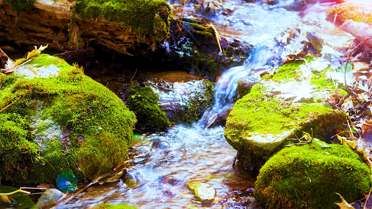 Peaceful Creek Trickling Water Sounds (No Music)