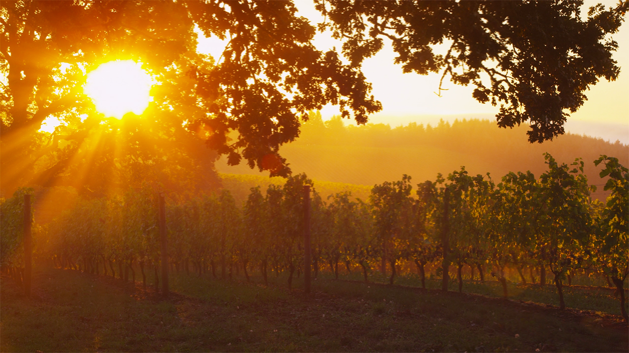 Peaceful Piano Music - "Light of the Morn"