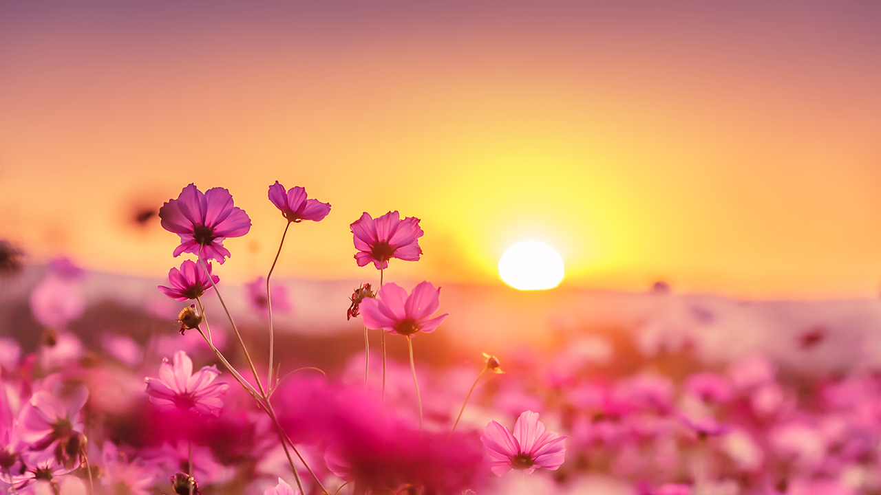 Beautiful Relaxing Piano Music - "In Your Eyes"