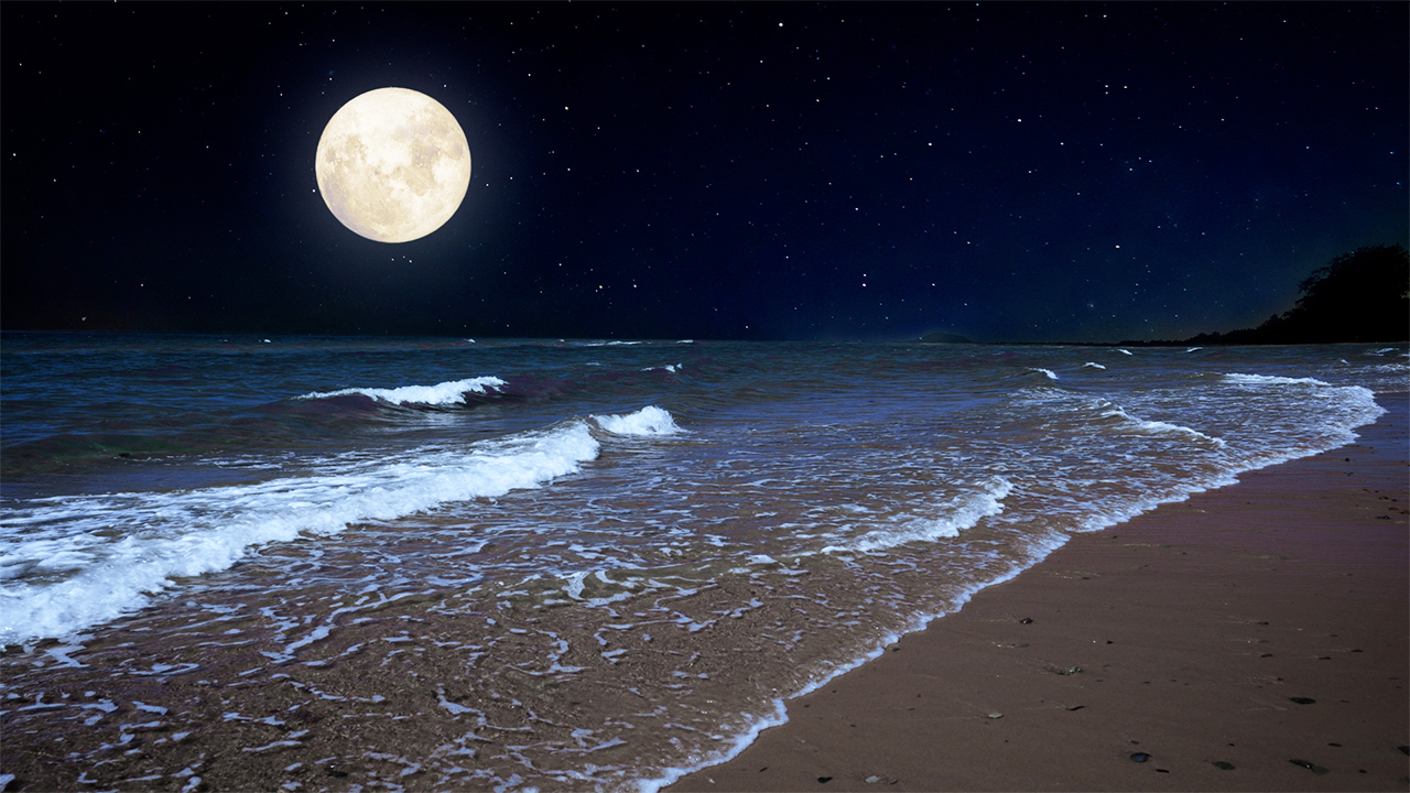 Peaceful Ocean Wave Sounds at Night (No Music)