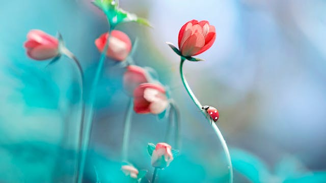 Relaxing Piano Music - "Favourite"