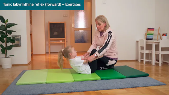 Tonic labyrinthine forward reflex - Exercises