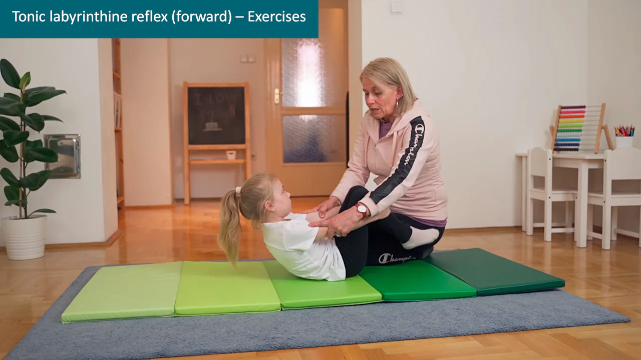 Tonic labyrinthine forward reflex - Exercises