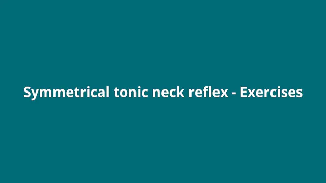 Introduction (STNR exercises)