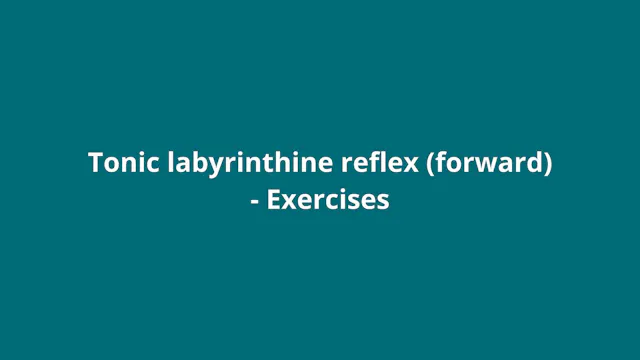 Introduction (TLR forward exercises)
