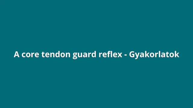 Bevezetés (mély talpi ín reflex)