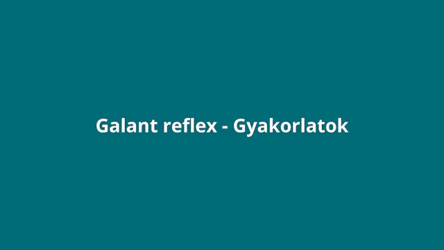Bevezetés (Galant)