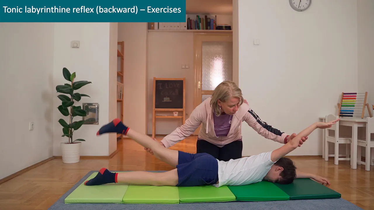 Tonic labyrinthine backward reflex - Exercises