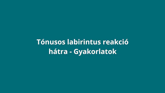 Bevezetés (TLRh)