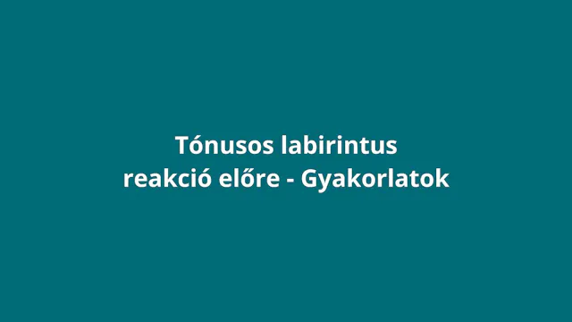 Bevezetés (TLRe)