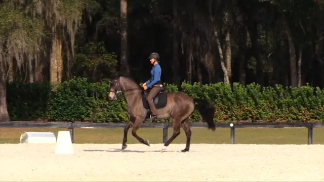 Solana's Lesson with Luis Lucio Karen...